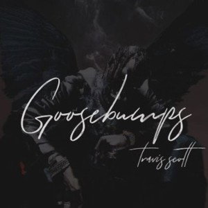 Goosebumps (Trevis scott feat. $et core)
