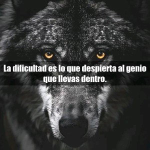 fuistes mala