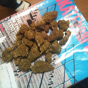 party pack 