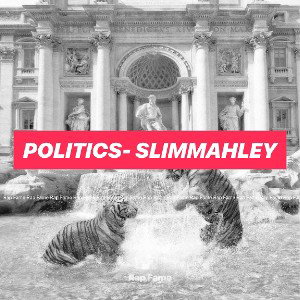 Politics- Slimmahley