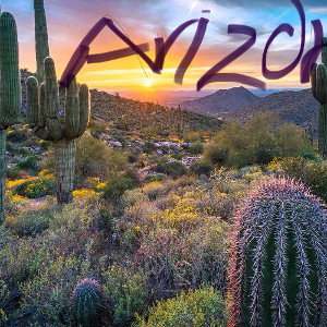 Arizona