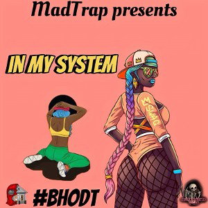 in my system