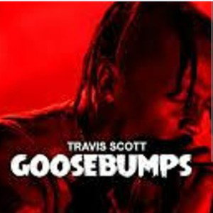 goosebumps 