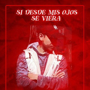 Si Desde Mis Ojos Se Viera