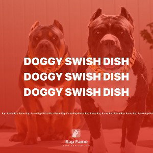Doggy swish dish 