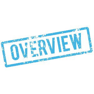 Overview (Prod. YoungGrizzly)