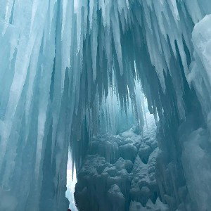 frozen 