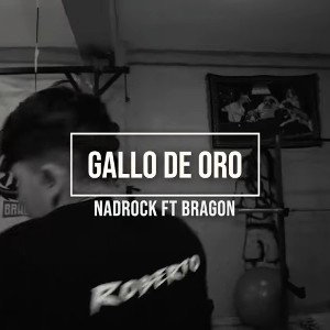Nadrøck - Gallo de oro