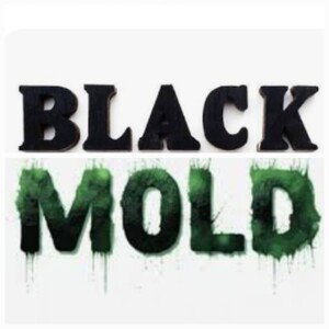 BLACK MOLD