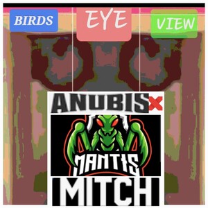 BIRDS EYE VIEW (MANTIS MITCH)