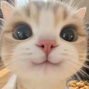 LICK IT UP LICK IT GOOD