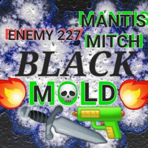 BLACK MOLD