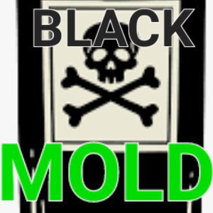 BLACK MOLD