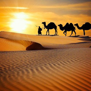 رَبِّ اجْعَلْنِي مُقِيمَ الصَّلَاةِ وَمِنْ ذُرِّيَّتِي رَبَّنَا وَتَقَبَّلْ دُعَاءِ (40) رَبَّنَا اغْفِرْ لِي وَلِوَالِد