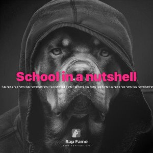School in a nutshell 
