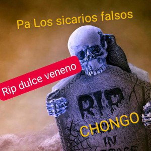 Fekarios____EgonSG FT ElF3N1XX 