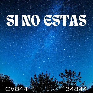 SI NO ESTAS