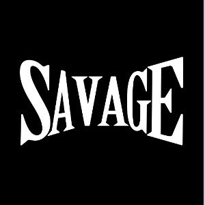 Savage 2 