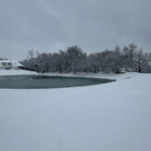 cold winter