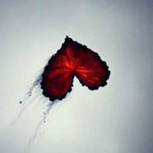 motion of love