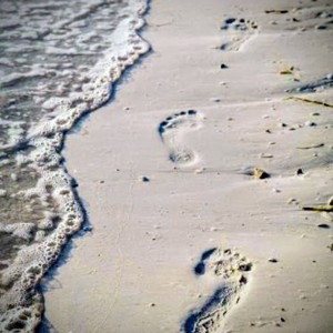 👣 FOOTPRINTS 