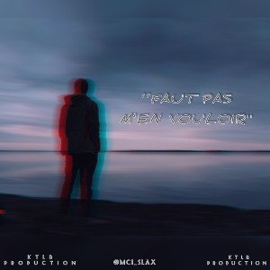 Faut_pas_m’en_vouloir