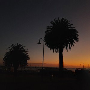 California High