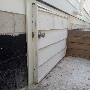 out from the crawl space 