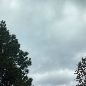 Flows feat. (CENTRAL-FELLOW) (LIL ICE)