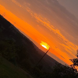 Abrechnung (Lagos_477)