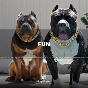 fun
