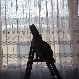 танцы под луной! 