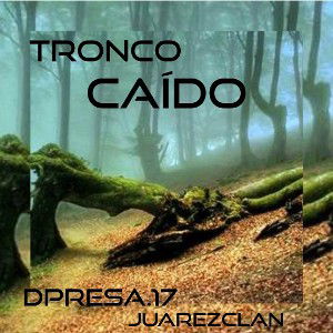 TRONCO CAIDO