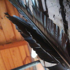 Pájaro de Fuego