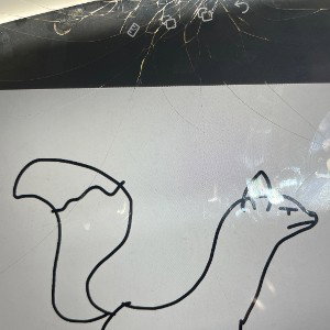 The story of the squirrel and me