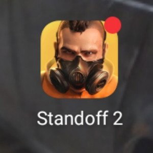 играю в стэндофф 2