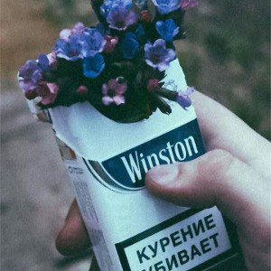 По духам