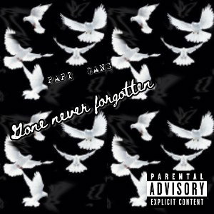 Gone never forgotten 