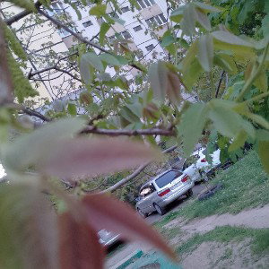 Ангел на поле 