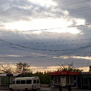 ромашкі адуванчікі 