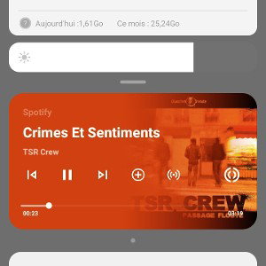 freestyle n®1 L2o ( 29 couronne )