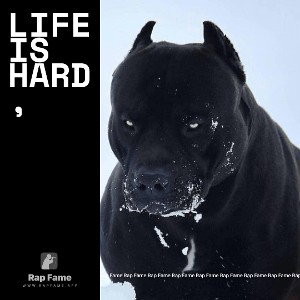 Life is hard,