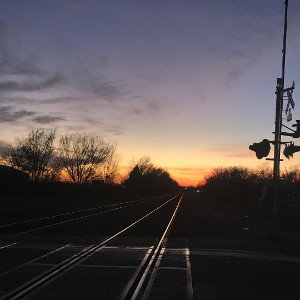 tracks