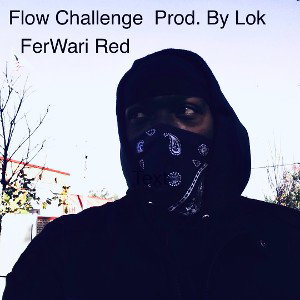 FlowChallengeProducedbyLok