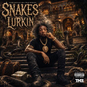 Snakes Lurkin