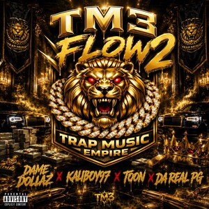 TME FLOW 2
