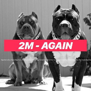2M - Again