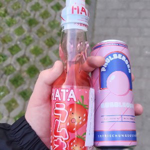 kotverkäufer remix 