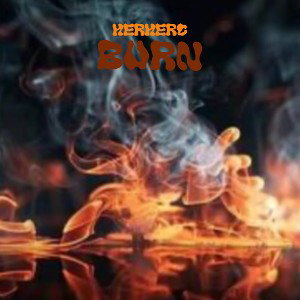 BURN (DISS TRACK)
