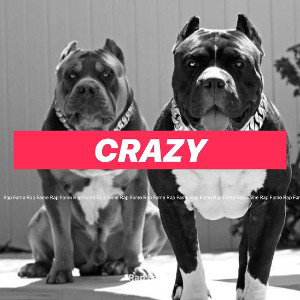 crazy 